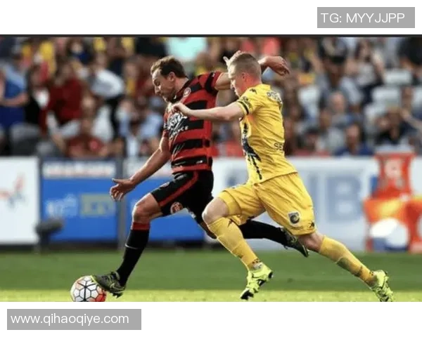 墨尔本城对战西悉尼漫步者盘口分析与赛事前瞻